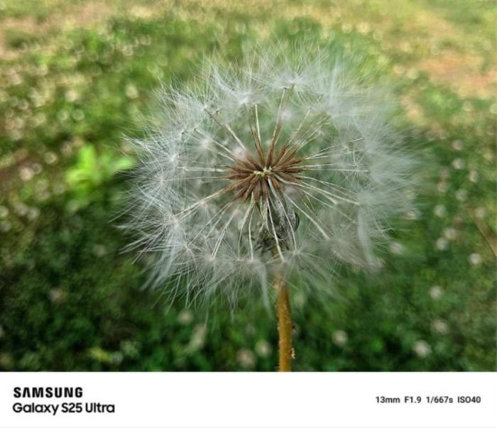 從超廣角風光到遠景特寫 三星Galaxy S25 Ultra一機掌握全視野