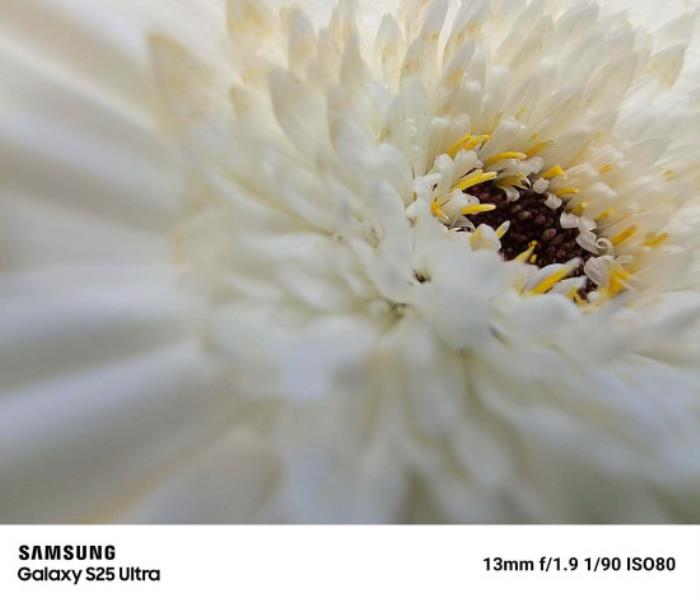 隨時拍出主角感 三星Galaxy S25 Ultra人像體驗再升級