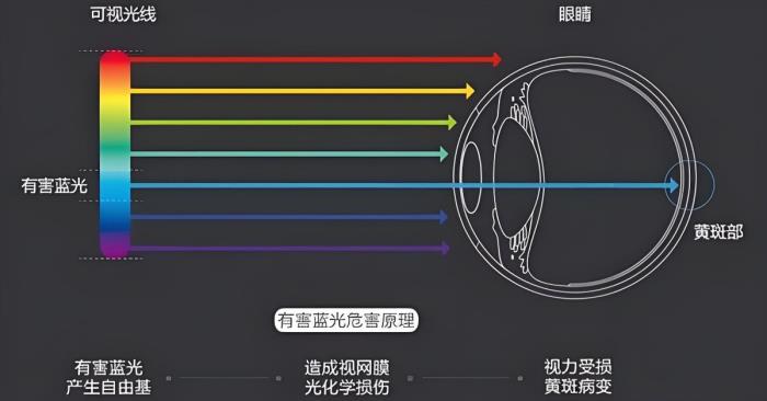愛(ài)眼日特別關(guān)注：當(dāng)我們?cè)诳雌聊粫r(shí)，眼睛正在經(jīng)歷什么？