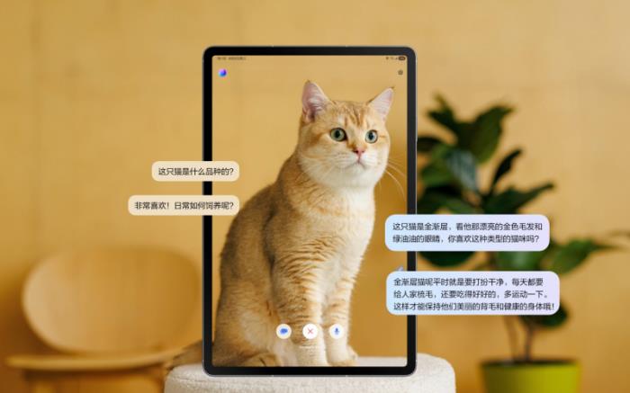 三星Galaxy Tab S10 FE：618更適合職場(chǎng)人的輕辦公平板