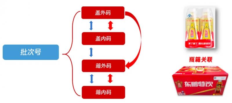 民族品牌創(chuàng)新標(biāo)桿：小米「芯」突破與東鵬飲料「質(zhì)價比」突圍