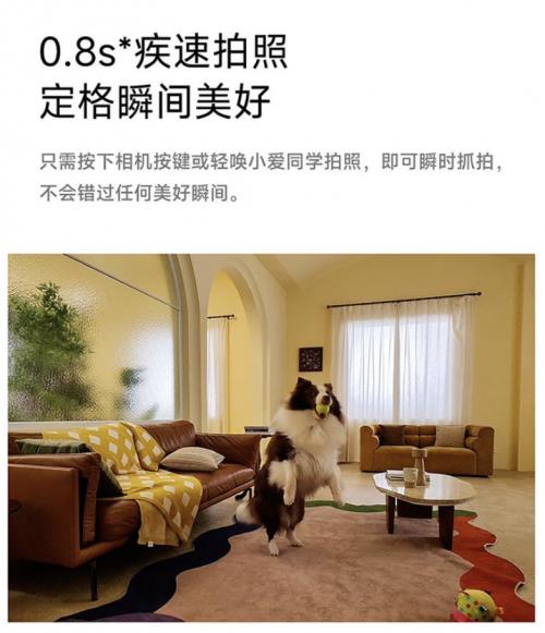 1999元可在京東入手小米AI眼鏡 附贈(zèng)京東配鏡服務(wù)免費(fèi)送鏡片