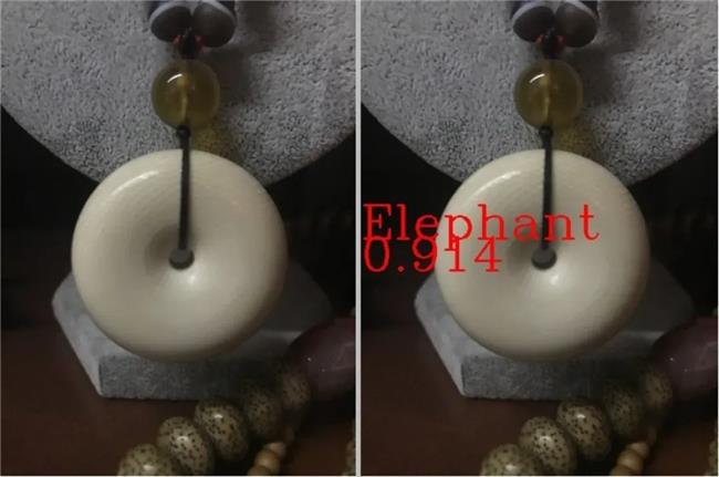入選聯(lián)合國案例集！AI拯救瀕危動物，飛槳助力清除1.3萬余條非法貿(mào)易廣告